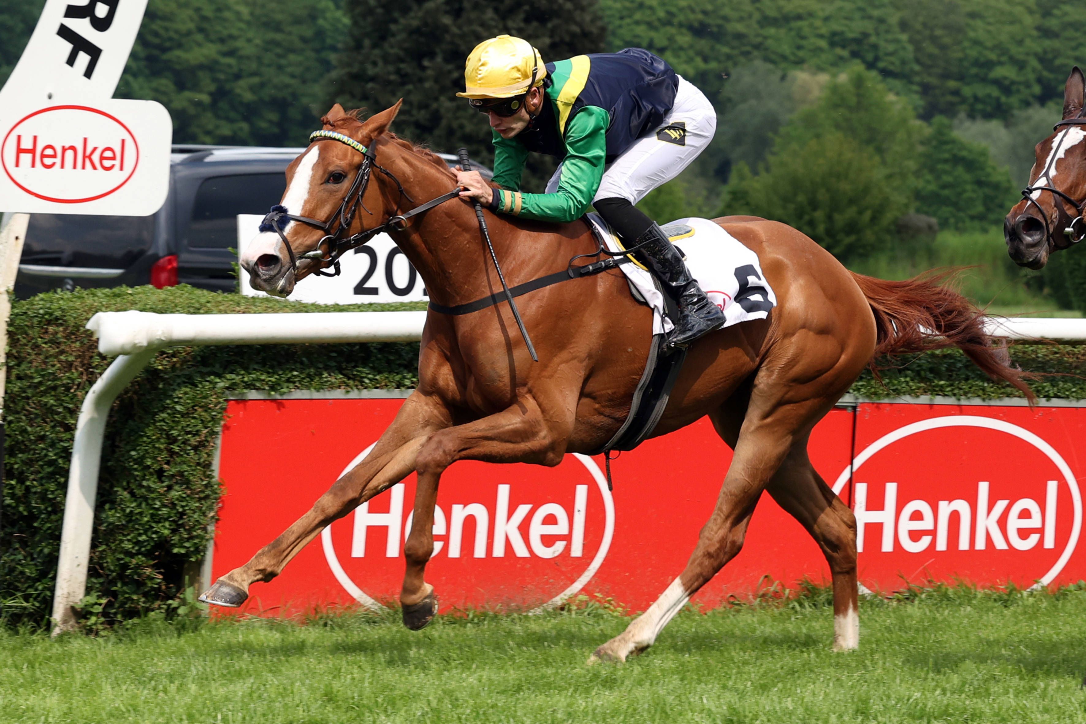 Die Kölner Stute Muskoka mit Jockey Lukas Delozier.