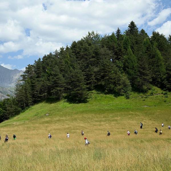 Freiwillige und Polizei suchen bei Le Vernet nahe der französischen Alpen nach dem vermissten Zweijährigen Émile in einem großen Feld und einem Waldstück. Im Hintergrund sind die französischen Alpen zu sehen.