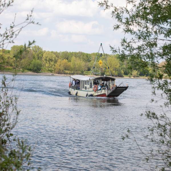Die Fähre Krokolino hat in Weiß Menschen aufgenommen, die nach Porz-Zündorf fahren.