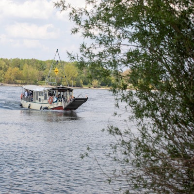 Die Fähre Krokolino hat in Weiß Menschen aufgenommen, die nach Porz-Zündorf fahren.