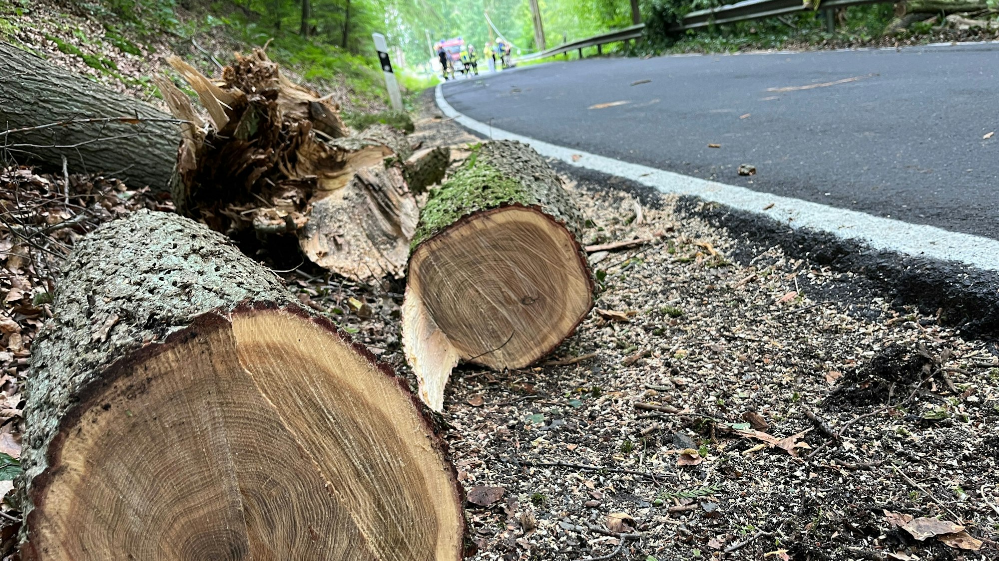 In der Nähe der Gammersbacher Mühle fiel ein Baum auf das Auto einer 20-Jährigen, sie blieb unverletzt. Die Feuerwehr hat den Stamm in mehrere Teile zerlegt.