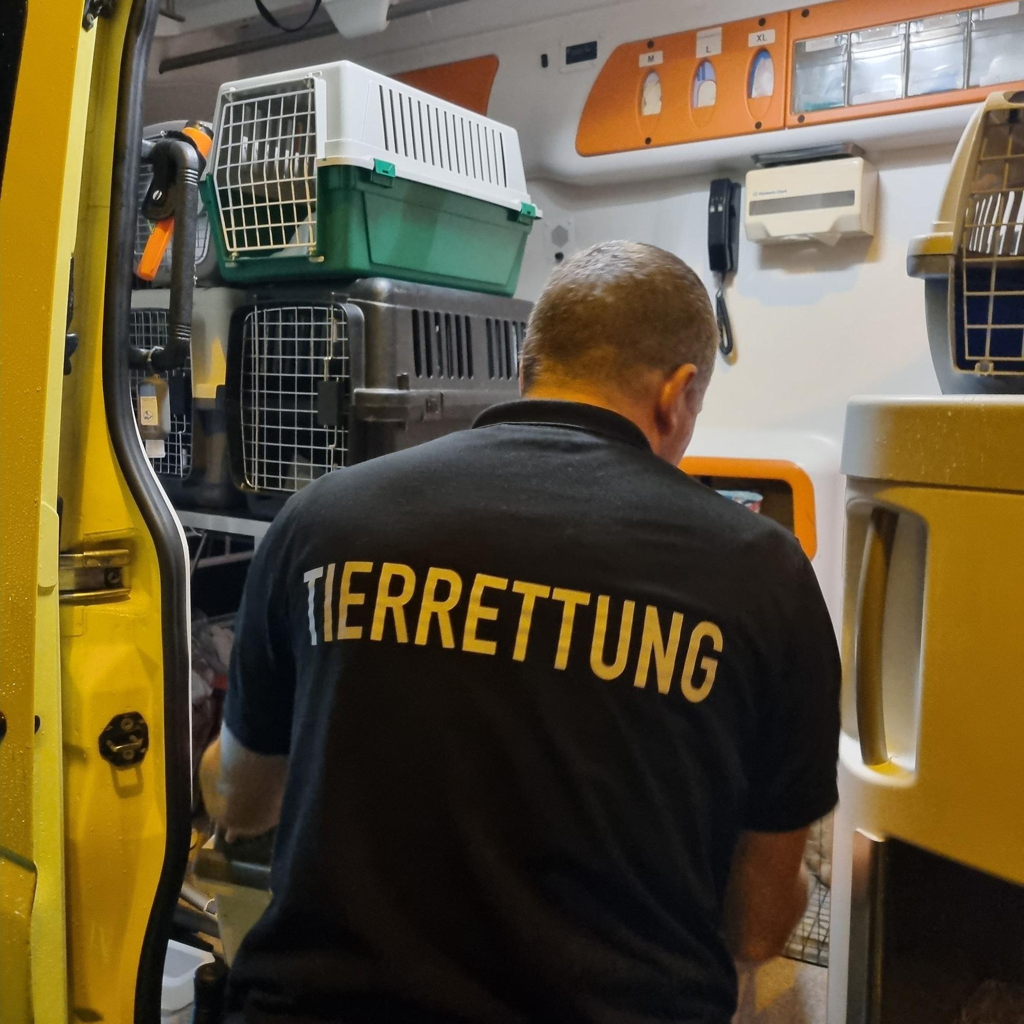 Ein Mitarbeiter der Tierrettung steht vor einem Transporter, in dem Boxen mit Katzen stehen.