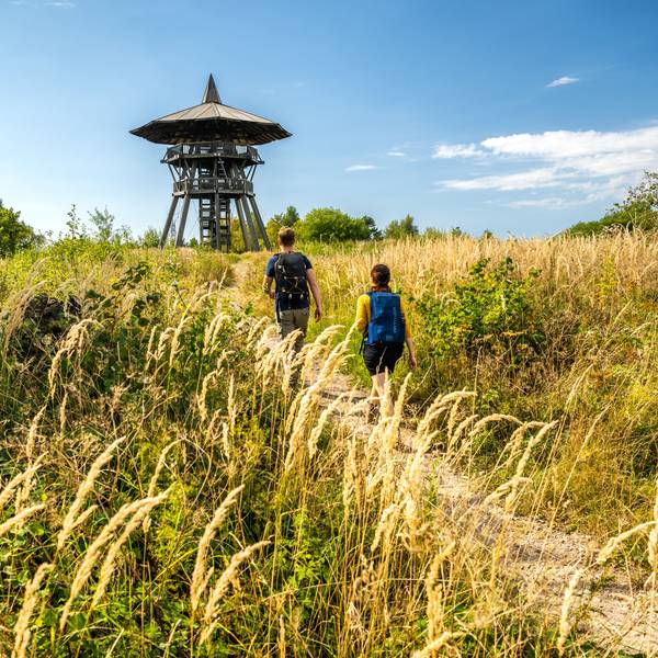 Eine Frau und ein Mann mit Rucksäcken laufen auf einem schmalen Weg durch hohes, gelbes Gras. Im Hintergrund ist ein Aussichtsturm zu sehen.