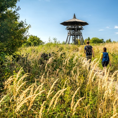 Eine Frau und ein Mann mit Rucksäcken laufen auf einem schmalen Weg durch hohes, gelbes Gras. Im Hintergrund ist ein Aussichtsturm zu sehen.