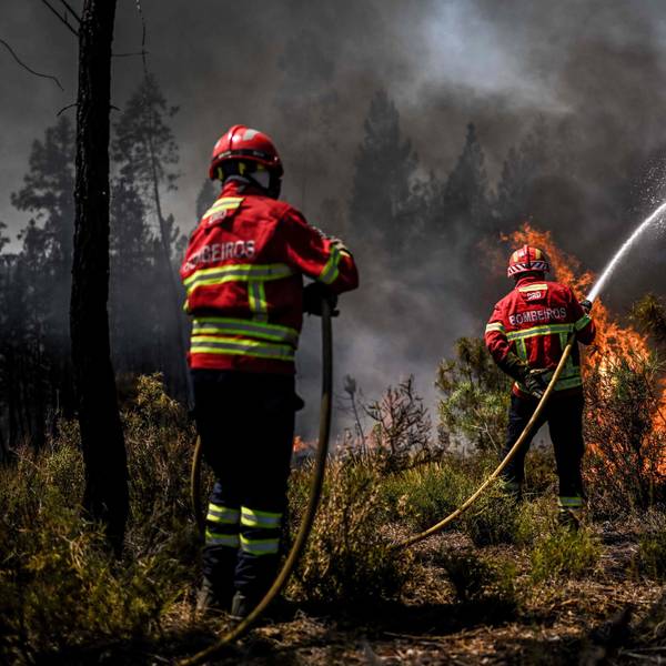 TOPSHOT - Firefighters battle a wildfire in Carrascal, Proenca a Nova on August 6, 2023. More than 1,000 firefighters battled a wildfire in central Portugal today as officials warned that thousands of hectares were at risk amid soaring temperatures across the country. (Photo by Patricia DE MELO MOREIRA / AFP)