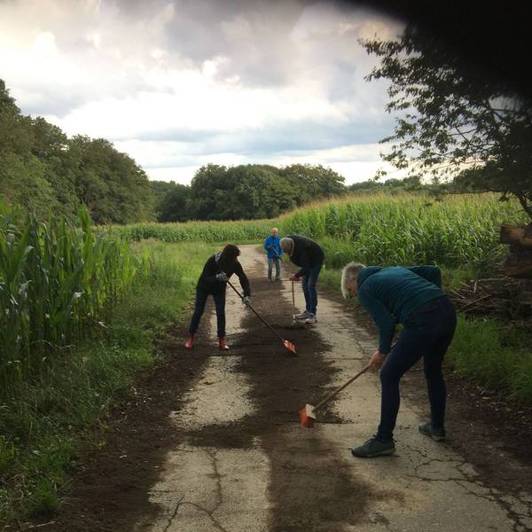 25 Helferinnen und Helfer waren beim „Waldfegen“ des TV Witzhelden dabei.