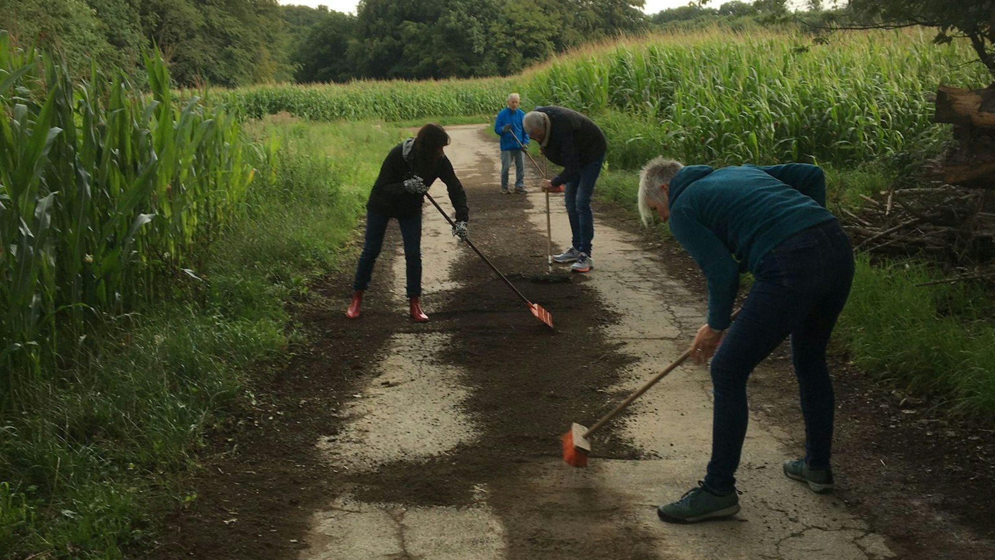 25 Helferinnen und Helfer waren beim „Waldfegen“ des TV Witzhelden dabei.
