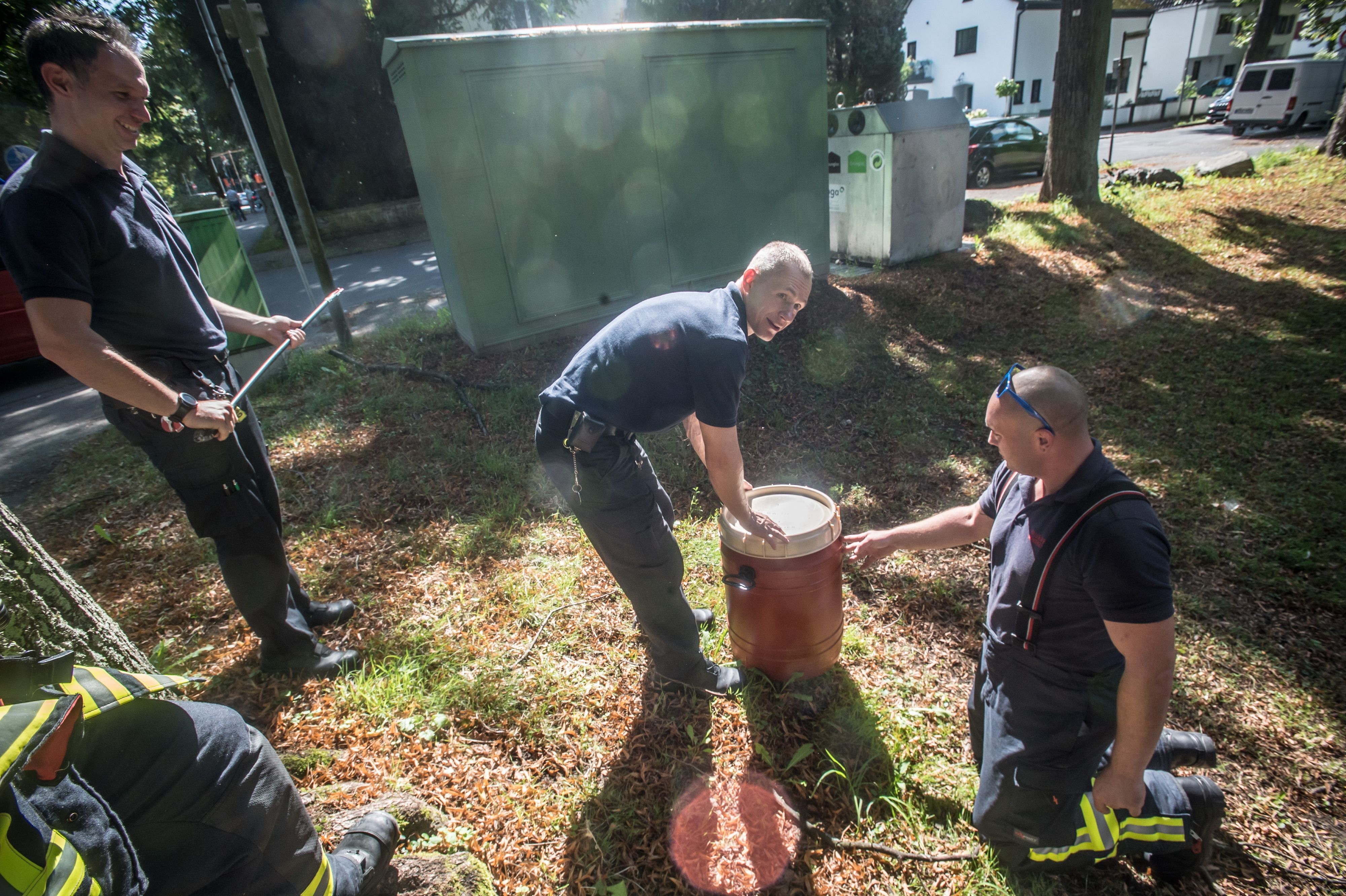 Feuerwehrmänner fangen am Rennbaumplatz eine Ringelnatter. Foto: Ralf Krieger