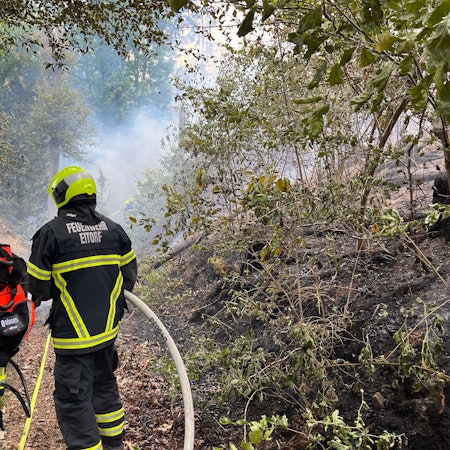 Waldbrand auf 8000 Quadratmetern oberhalb der Asbacher Straße, 110 Feuerwehrleute bekämpften die Flammen.