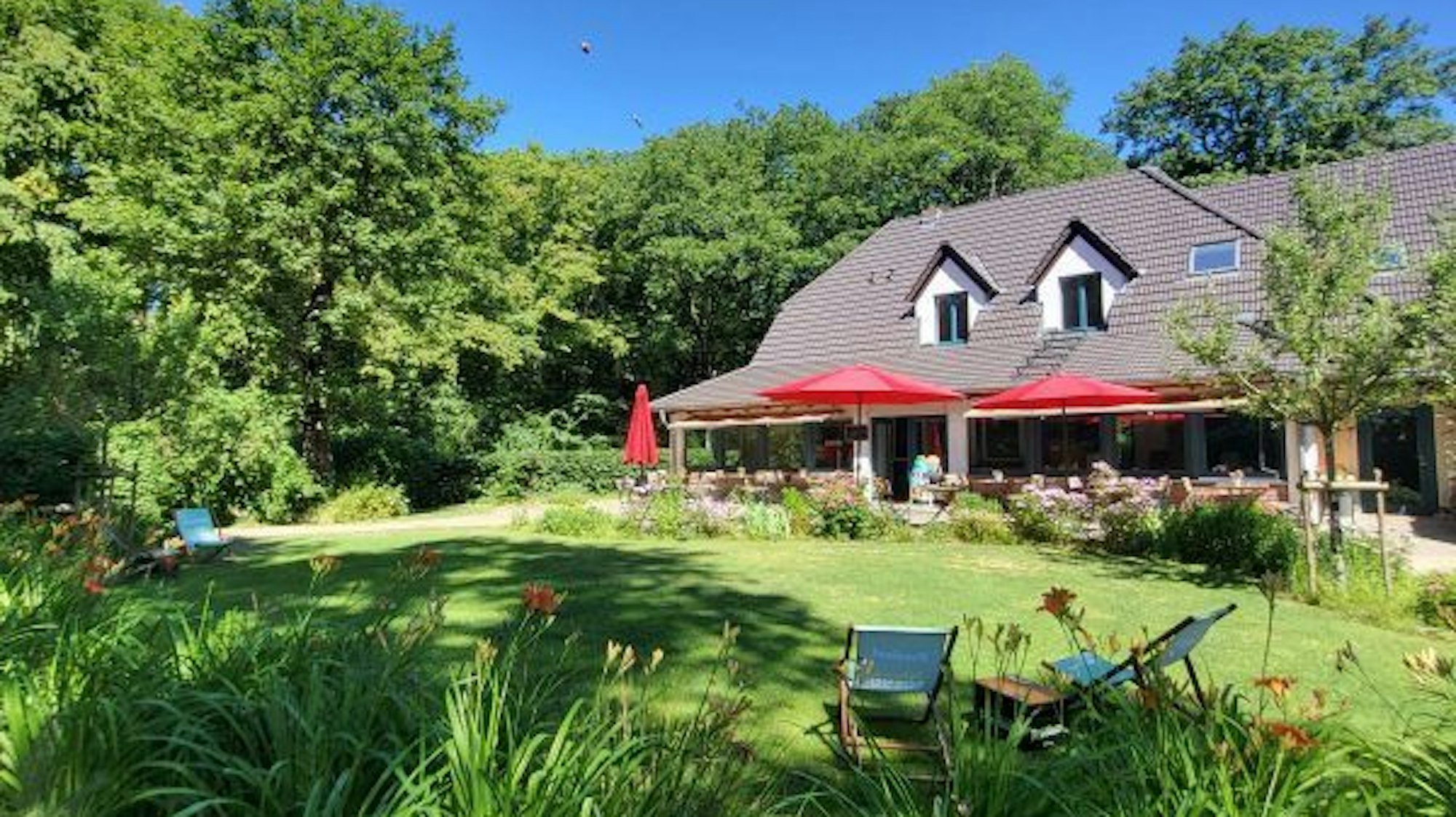 Der Garten und das Café der Waldschenke Bonn sind von außen zu sehen.