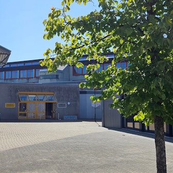 Ein junger Baum steht vor einem modern wirkenden grauen Schulgebäude mit gelben Fenster- und Türrahmen.