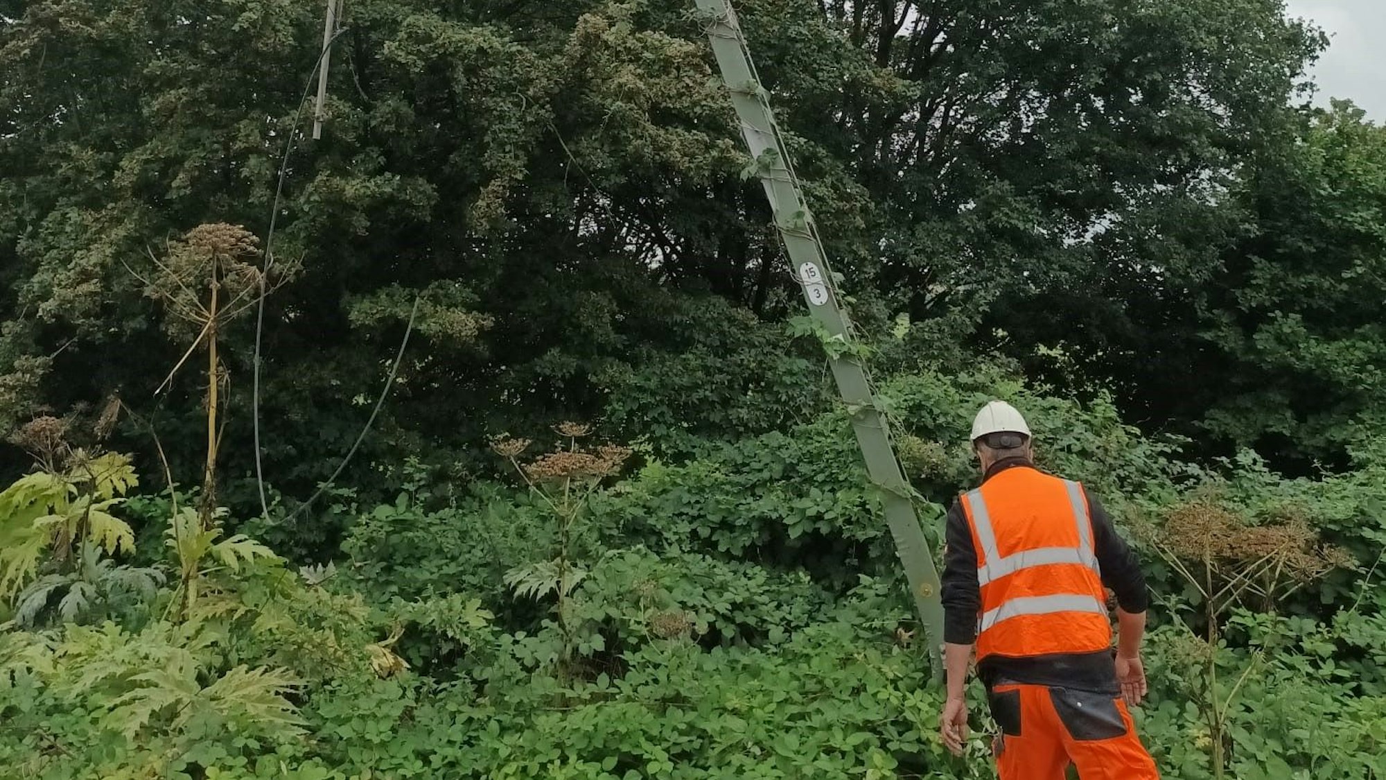 Ein Bahn-Arbeiter steht an einem schiefen Oberleitungsmast an der Strecke zwischen Langenfeld und Leverkusen.