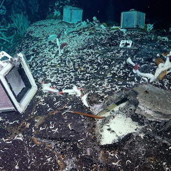 Am Meeresboden befestigte Boxen.