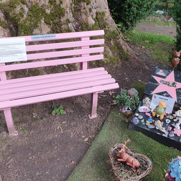 Eine pinke Bank steht neben dem Grab von Dirk Bach auf dem Kölner Melatenfriedhof.