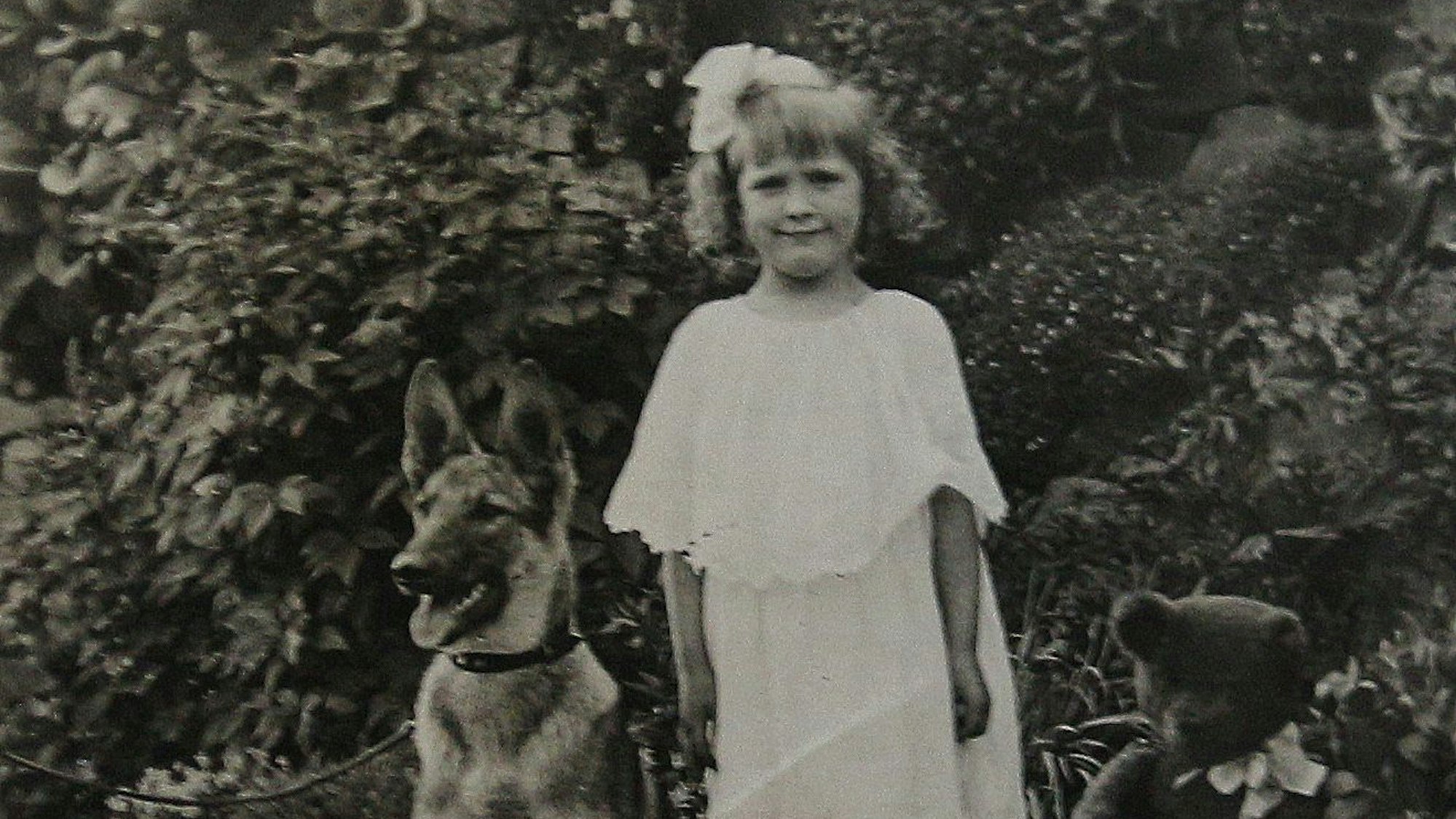 Ein Schäferhund und ein Mädchen im weißen Kleid auf einem alten Schwarzweißfoto.