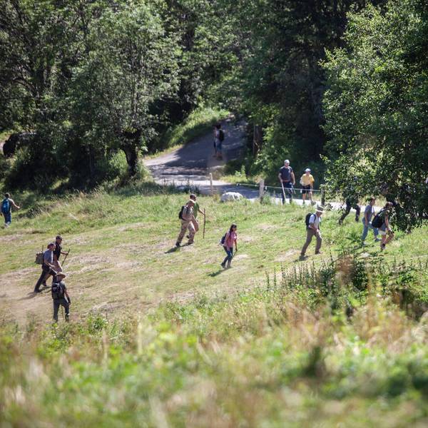 Freiwillige suchen mit der französischen Gendarmerie nach dem vermissten Jungen Emile in Le Vernet. Der Zweijährige war vom Grundstück seiner Großeltern in Südfrankreich verschwunden.