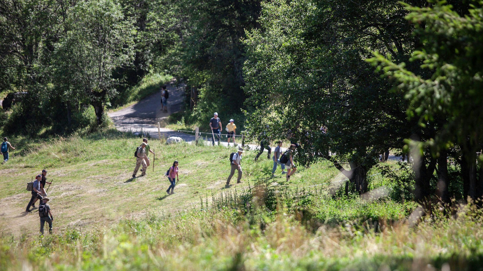 Freiwillige suchen mit der französischen Gendarmerie nach dem vermissten Jungen Emile in Le Vernet. Der Zweijährige war vom Grundstück seiner Großeltern in Südfrankreich verschwunden.