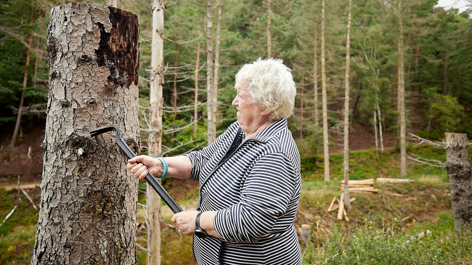 Rita Porwol arbeitet an einem Baumstamm.