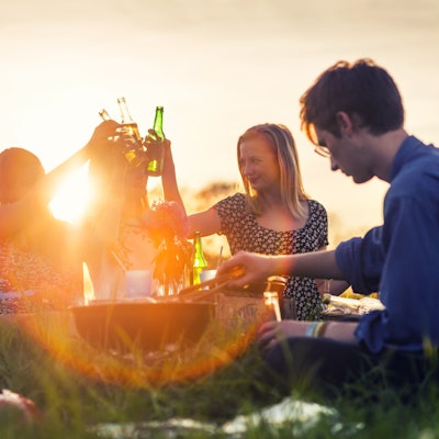 Freunde stoßen mit Flaschen an und machen ein Picknick auf der Wiese.