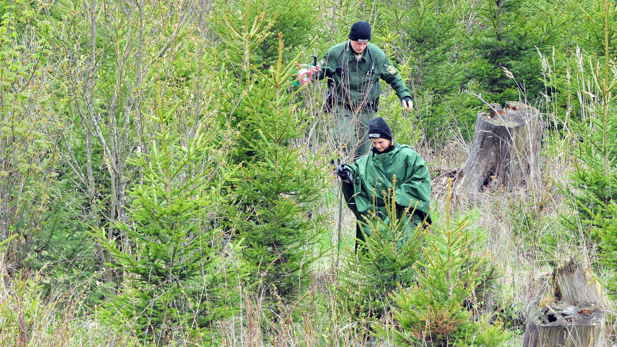 Zwei Polizisten gehen am 16.05.2010 bei Heidenheim-Großkuchen durch eine Aufforstung, um Spuren im Fall der entführten Maria Bögerl zu suchen.