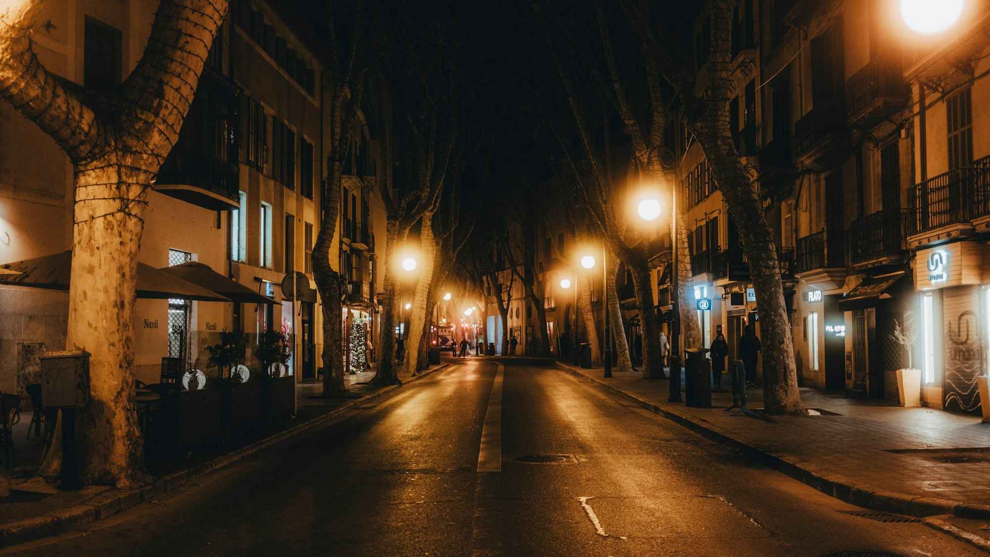 Travel Palma de Mallorca Palma, 12.01.23: Streets of palma at night. *** Travel Palma de Mallorca Palma, 12 01 23 Streets of palma at night