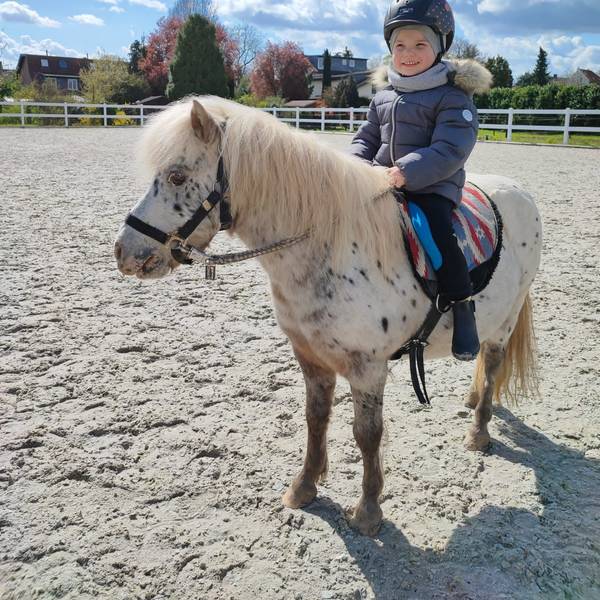 Ein Kind sitzt auf einem Pony.