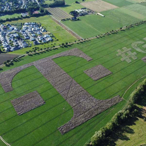 Eine Luftaufnahme zeigt einen Acker bei Flamersheim mit Millionen von Blühpflanzen, die das Telekom-Logo und den Slogan „#Green Magenta“ bilden.