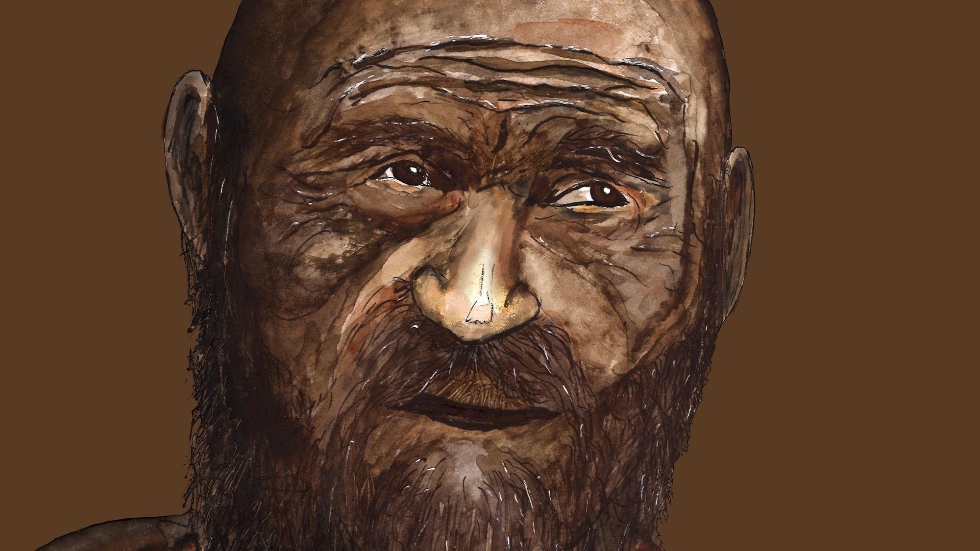 Eine Genomanalyse verrät, wie der Gletschermann Ötzi zu Lebzeiten aussah.