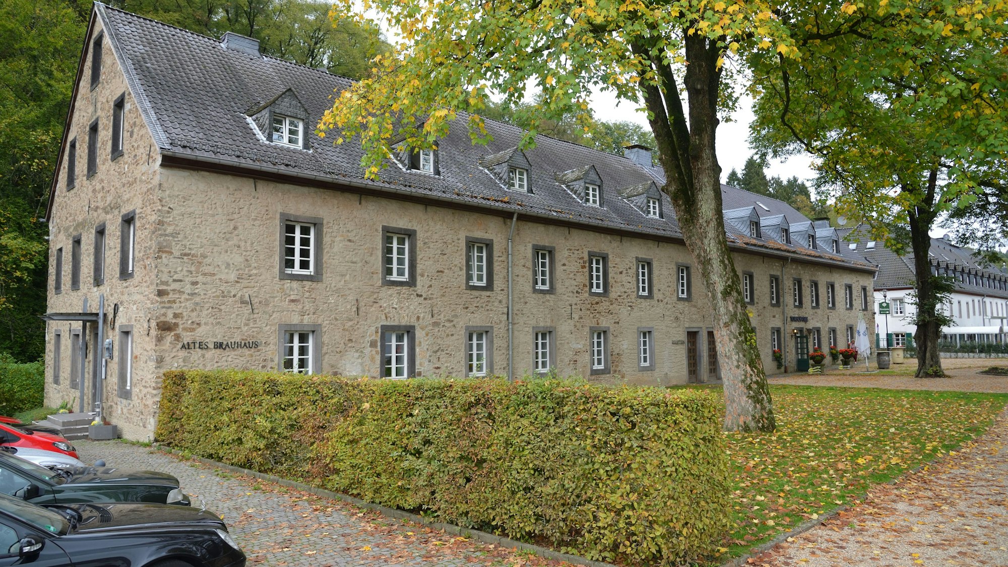 Ein historisches Gebäude mit dem Schriftzug Altes Brauhaus. Lindenbäume, davor eine Hecke.
