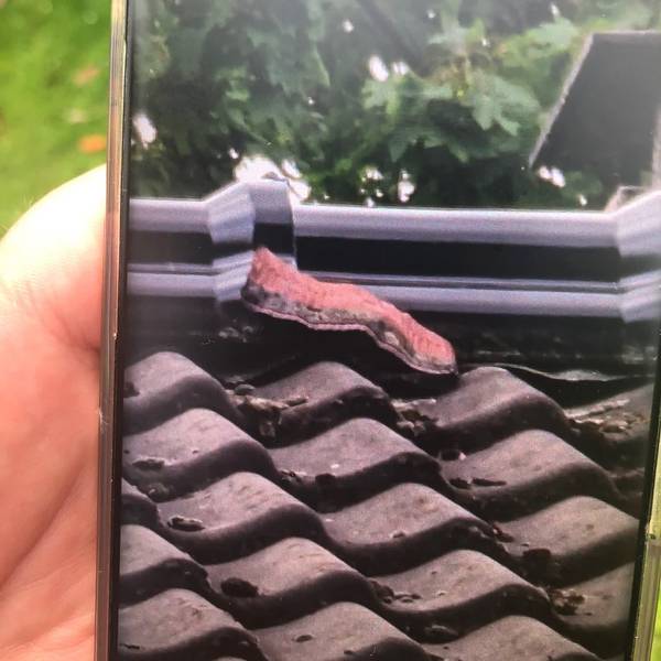 Eine Person hält ein Handy mit einem Foto der vermeintlichen Riesenschlange in Neuss. Tatsächliche stellte sich der Fund als Bauschaum heraus.