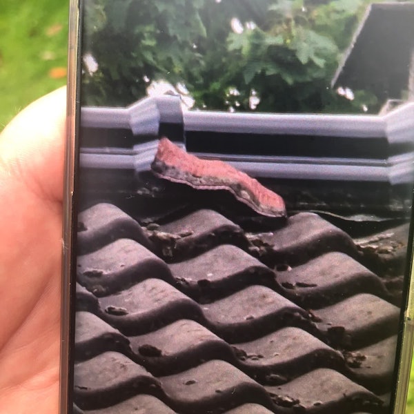 Eine Person hält ein Handy mit einem Foto der vermeintlichen Riesenschlange in Neuss. Tatsächliche stellte sich der Fund als Bauschaum heraus.
