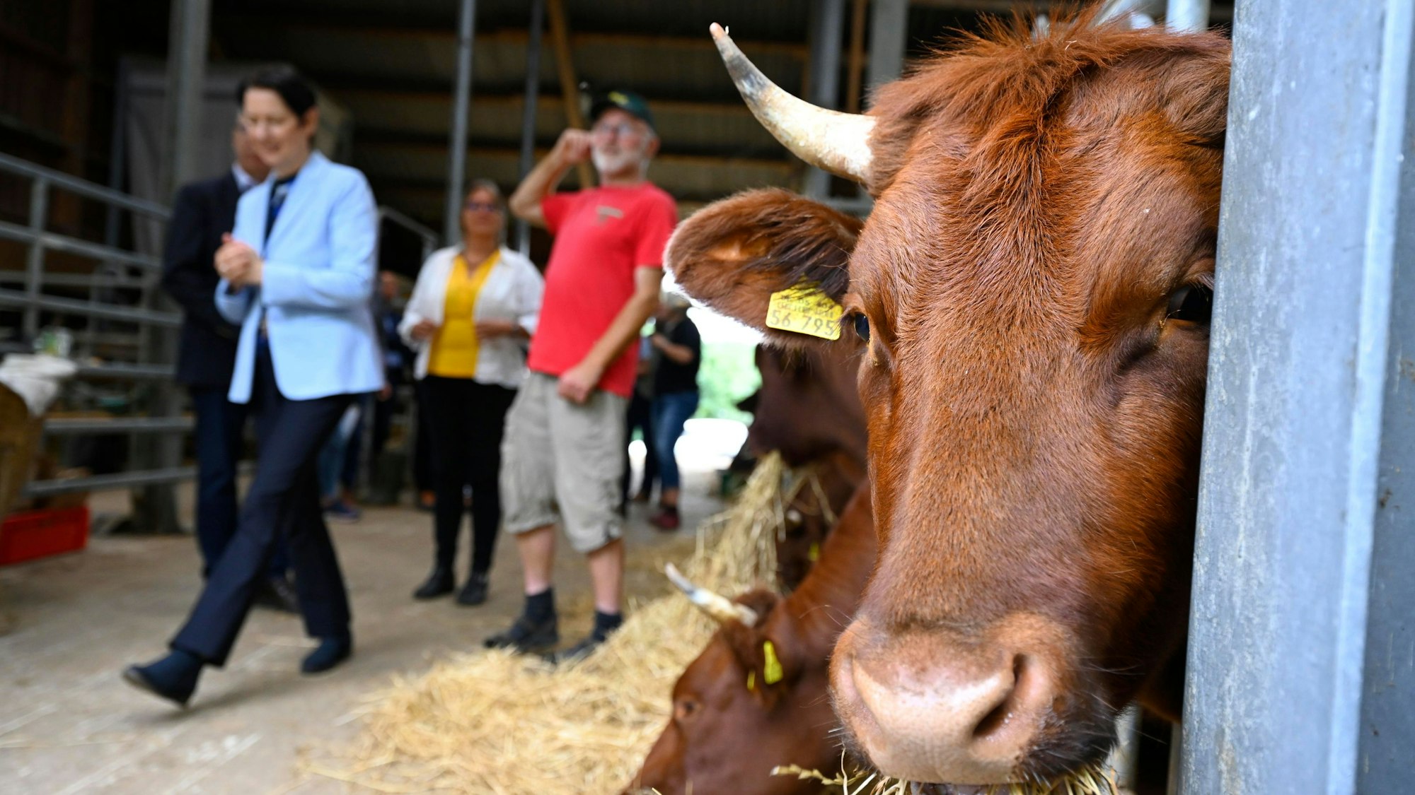 Rundgang auf dem Klosterhof in Bünghausen.