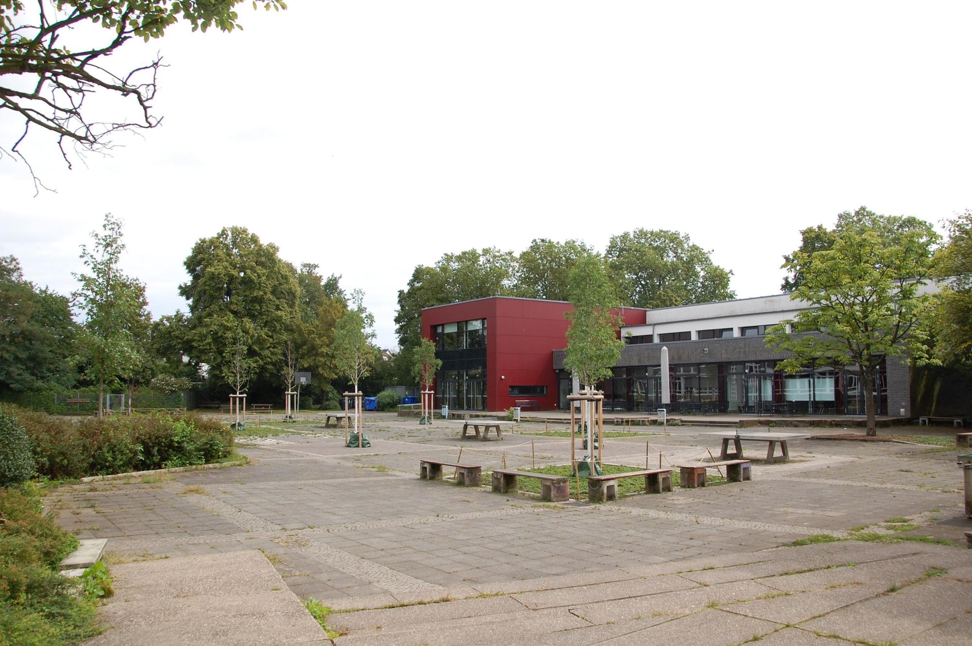 Der Schulhof des Lise-Meitner-Gymnasiums hat kürzlich mehr Bäume bekommen.