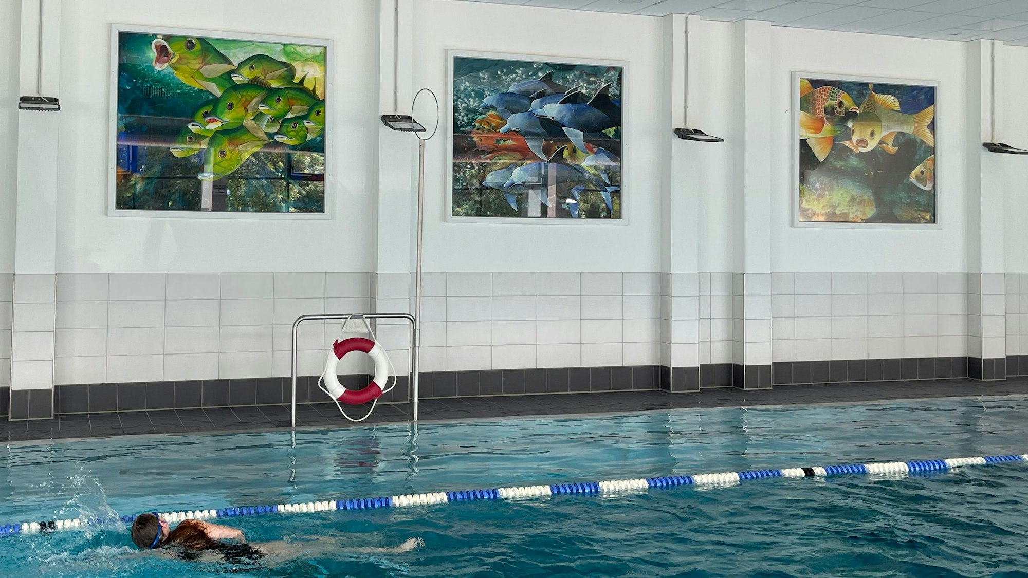 Eine Schwimmerin schwimmt an einer Wand vorbei, an der drei große Bilder mit bunten Fischen und Delfinen hängen.