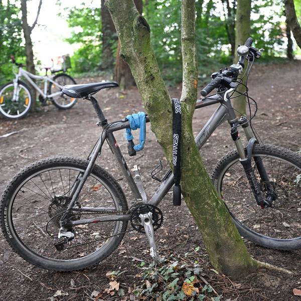 Ein Fahrrad steht an einen Baum festgekettet in einem Waldstück.