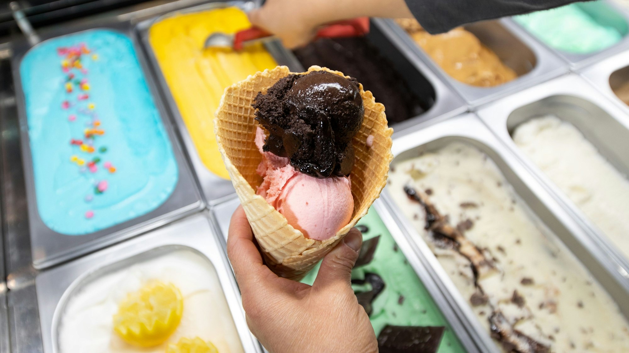 Eine Waffel wird in einer Eisdiele mit Eiskugeln verschiedener Sorten gefüllt.