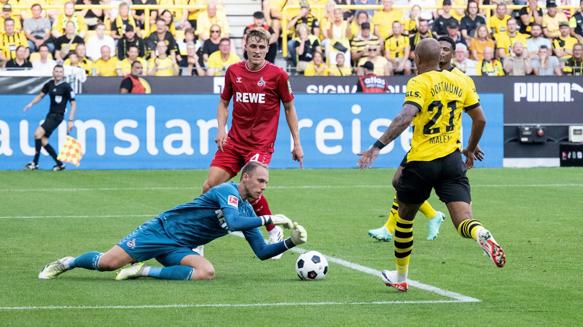 Schwäbe wirft sich auf einen Ball.