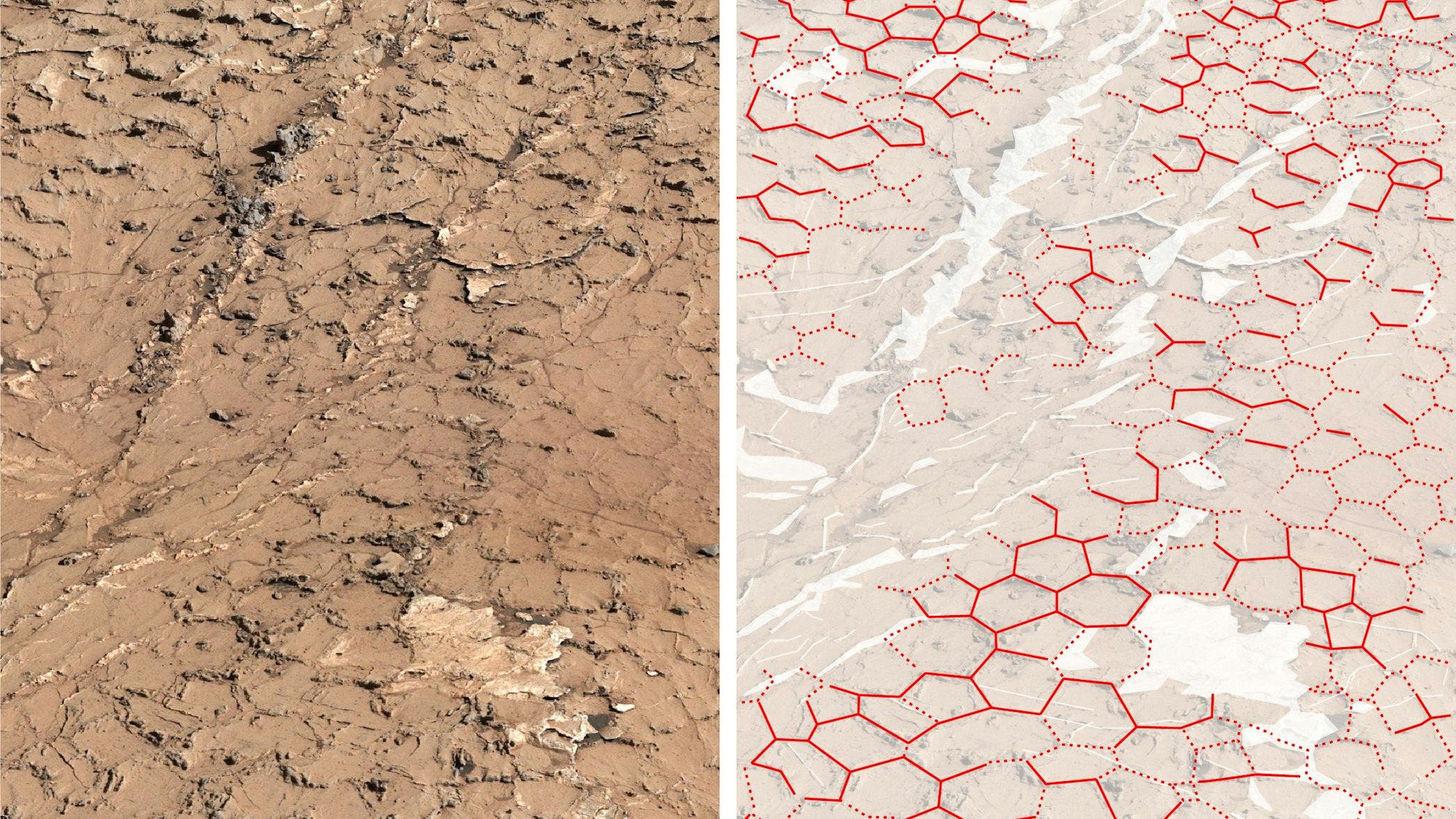 Eine Aufnahme des Mars-Rovers „Curiosity“ verdeutlicht die sechseckigen Schlammplatten, die auf dem Mars gefunden wurden. Sie sollen Hinweise auf Leben auf dem roten Planeten geben.