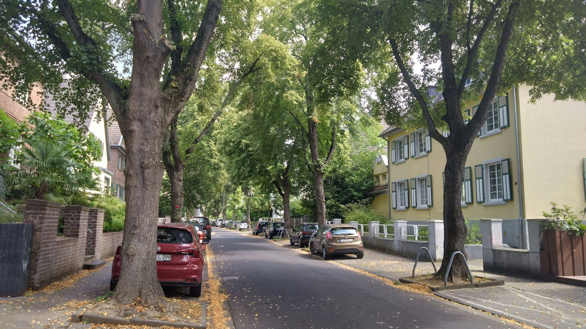 Das Bild zeigt eine Allee mit mehreren Wohnhäusern in Bergheim.