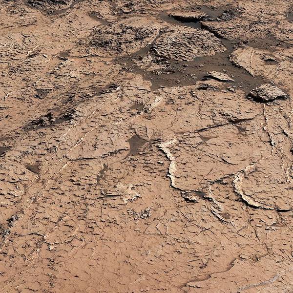 Eine Aufnahme des Mars-Rovers „Curiosity“ zeigt die Oberfläche des roten Planeten. Die Nasa hat die Aufnahme ihres Gefährts veröffentlicht.