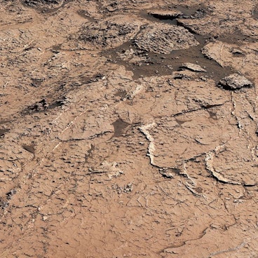 Eine Aufnahme des Mars-Rovers „Curiosity“ zeigt die sechseckigen Schlammplatten auf der Oberfläche des Mars. Forscher der Nasa sehen darin Hinweise auf erdähnliche Bedingungen auf dem Mars.
