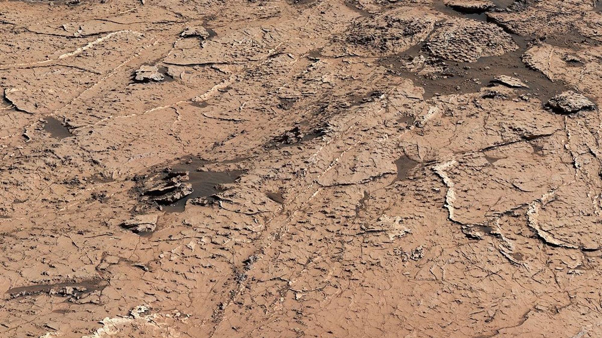 Der Mars-Rover „Curiosity“ hat auf der Oberfläche des roten Planeten weitere Hinweis auf Leben gefunden. Sechseckige Schlammplatten deuten darauf hin, dass es dort einmal erdähnliche Bedingungen gab.