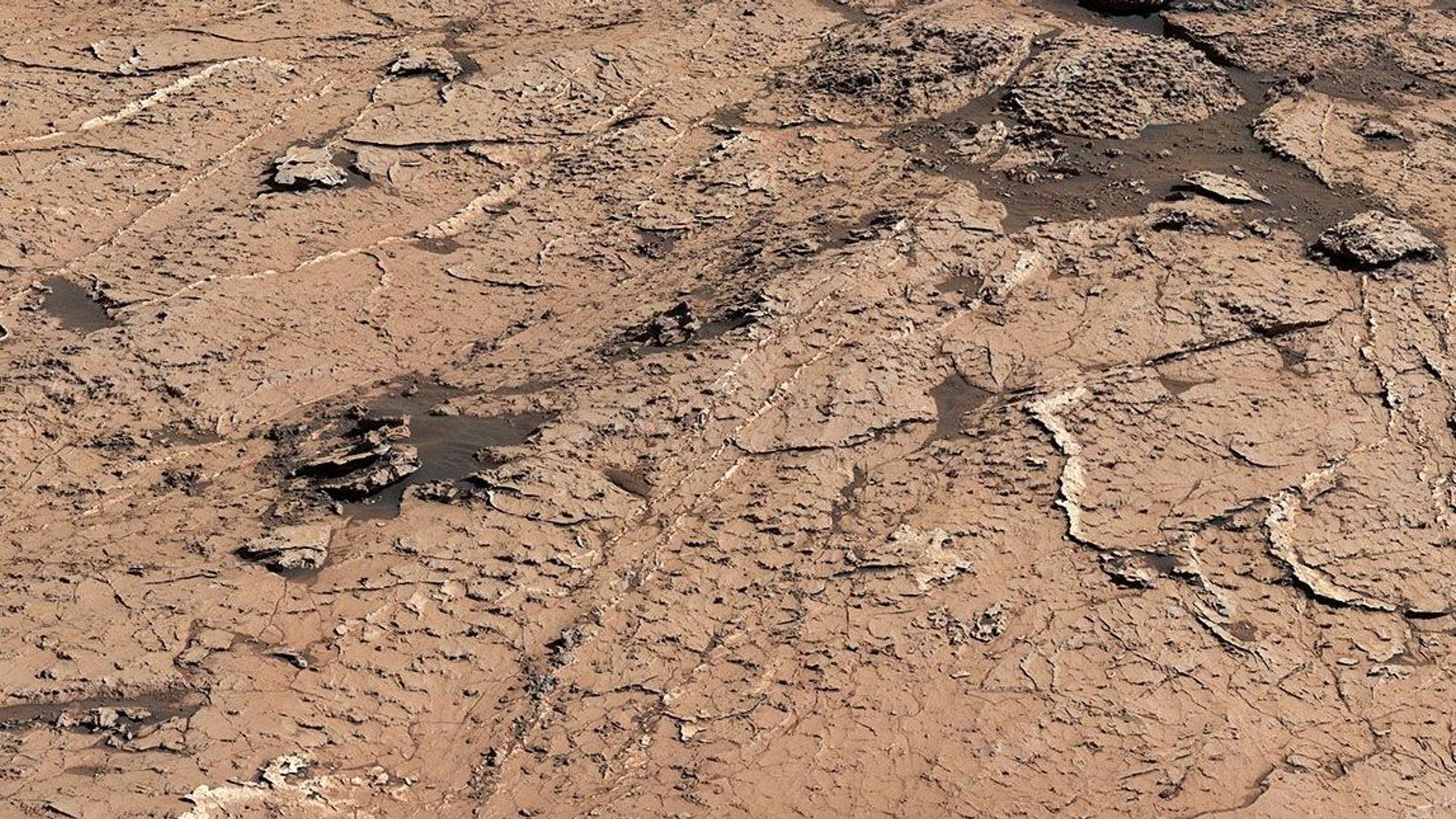 Eine Aufnahme des Mars-Rovers „Curiosity“ zeigt die Oberfläche des roten Planeten. Die Nasa hat die Aufnahme ihres Gefährts veröffentlicht.