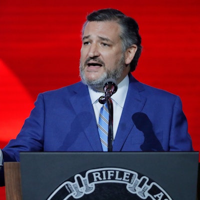 Senator Ted Cruz ist auf ein Hai-Hoax hereingefallen.