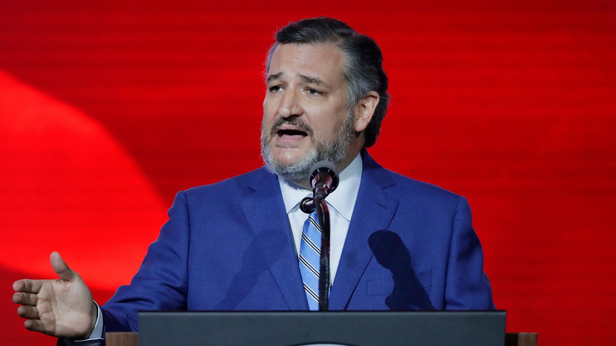 Senator Ted Cruz ist auf ein Hai-Hoax hereingefallen.