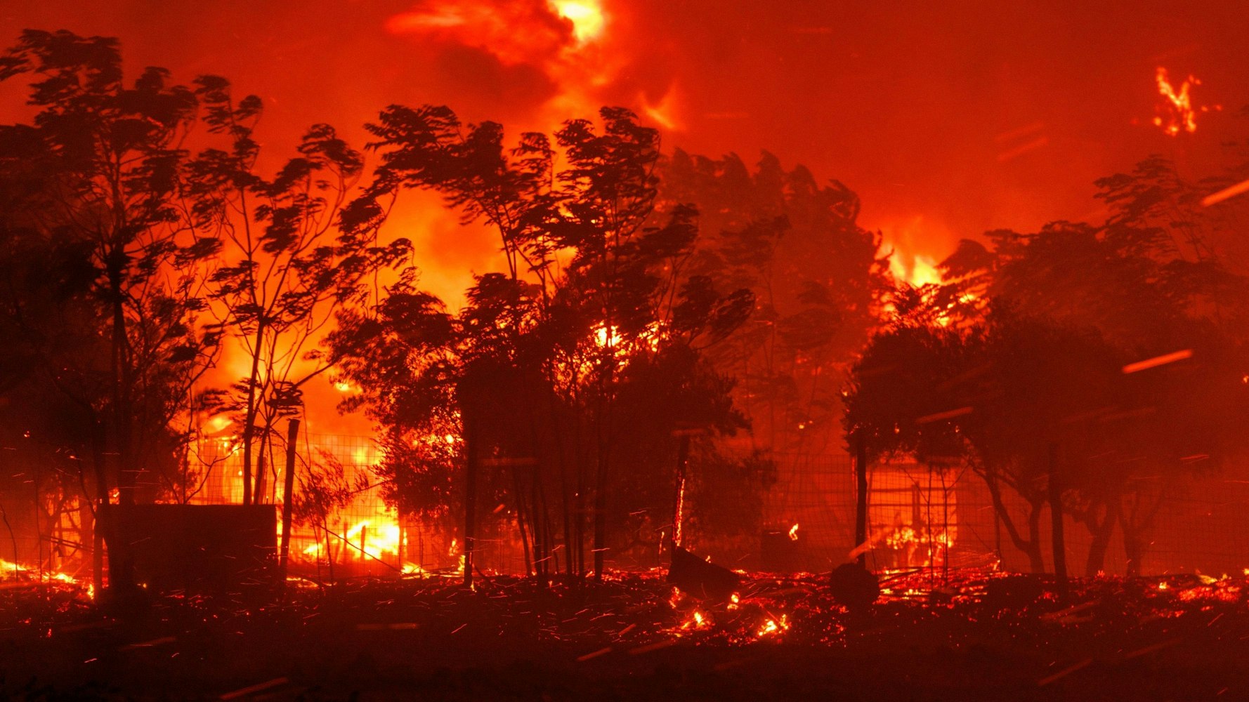 Griechenland, Avantas: Das Feuer verbrennt ein Haus im Dorf in der Nähe der Stadt Alexandroupolis in der nordöstlichen Region Evros.