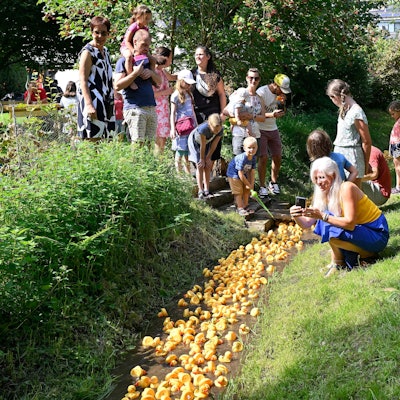 Menschen stehen am Bach und beobachten das Entenrennen in Overath-Immekeppel