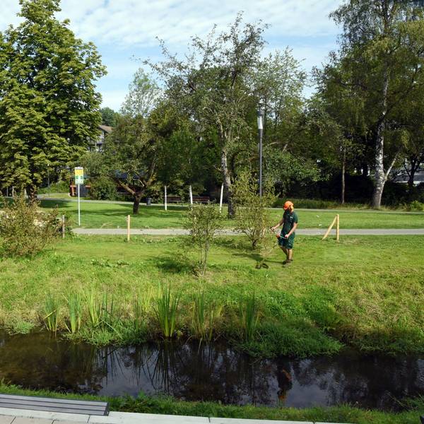 Ein Mann mäht mit einer Elektrosense eine Wiese im Wiehlpark.