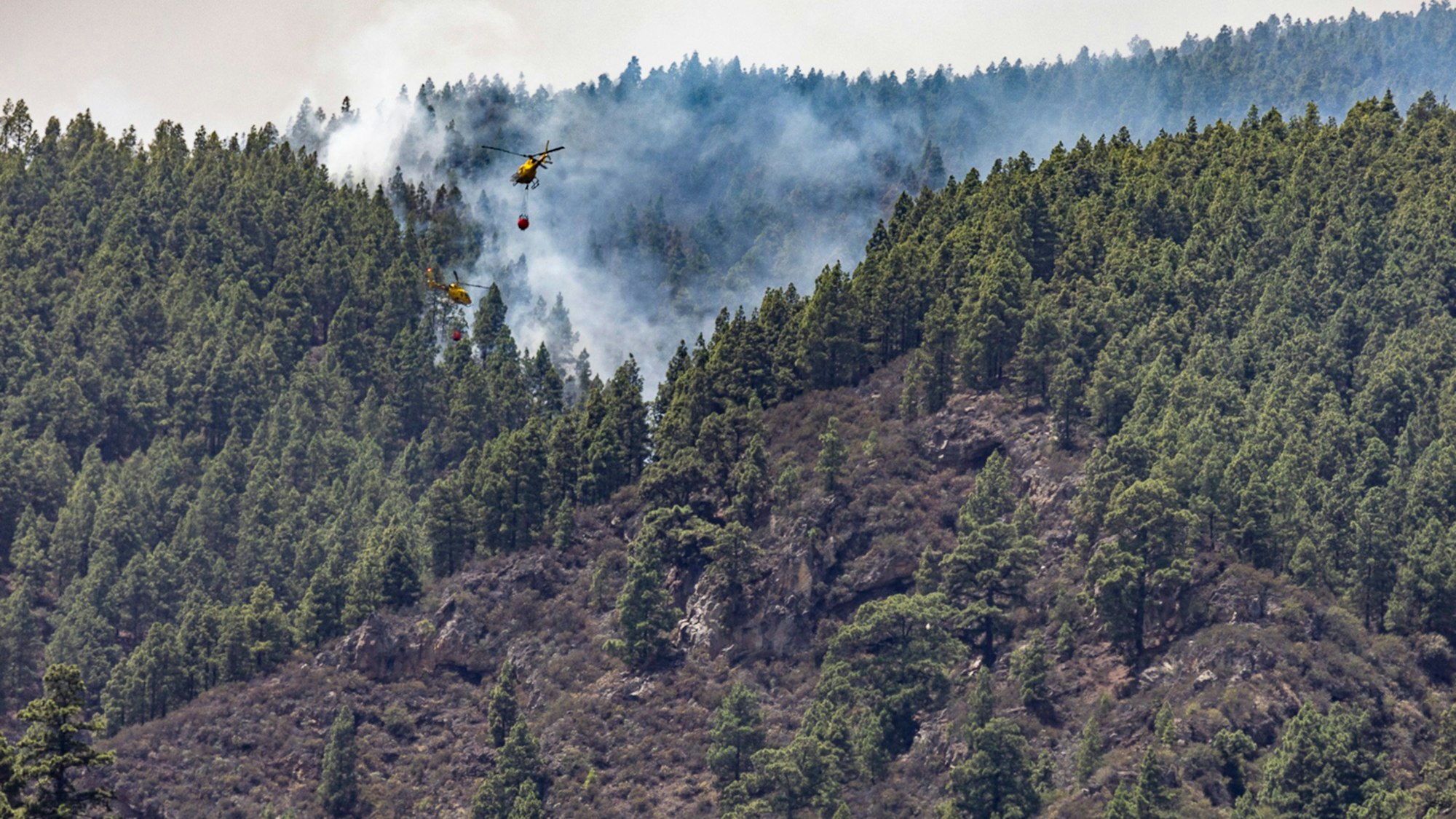 La Esperanza: Zwei Feuerlöschhubschrauber sind in Las Lagunetas, Teneriffa, im Einsatz.