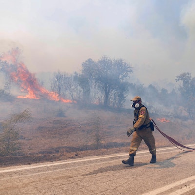 Griechenland, Kirkis: Ein Feuerwehrmann zieht einen Wasserschlauch bei Löscharbeiten während der Waldbrände.